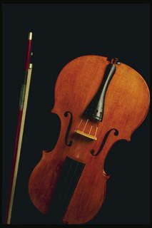 violina