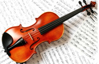 2018violina
