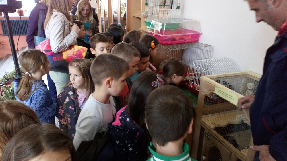 2019buduciprvaci14