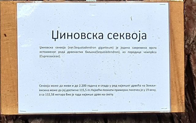 Tablica-na-sekvoji